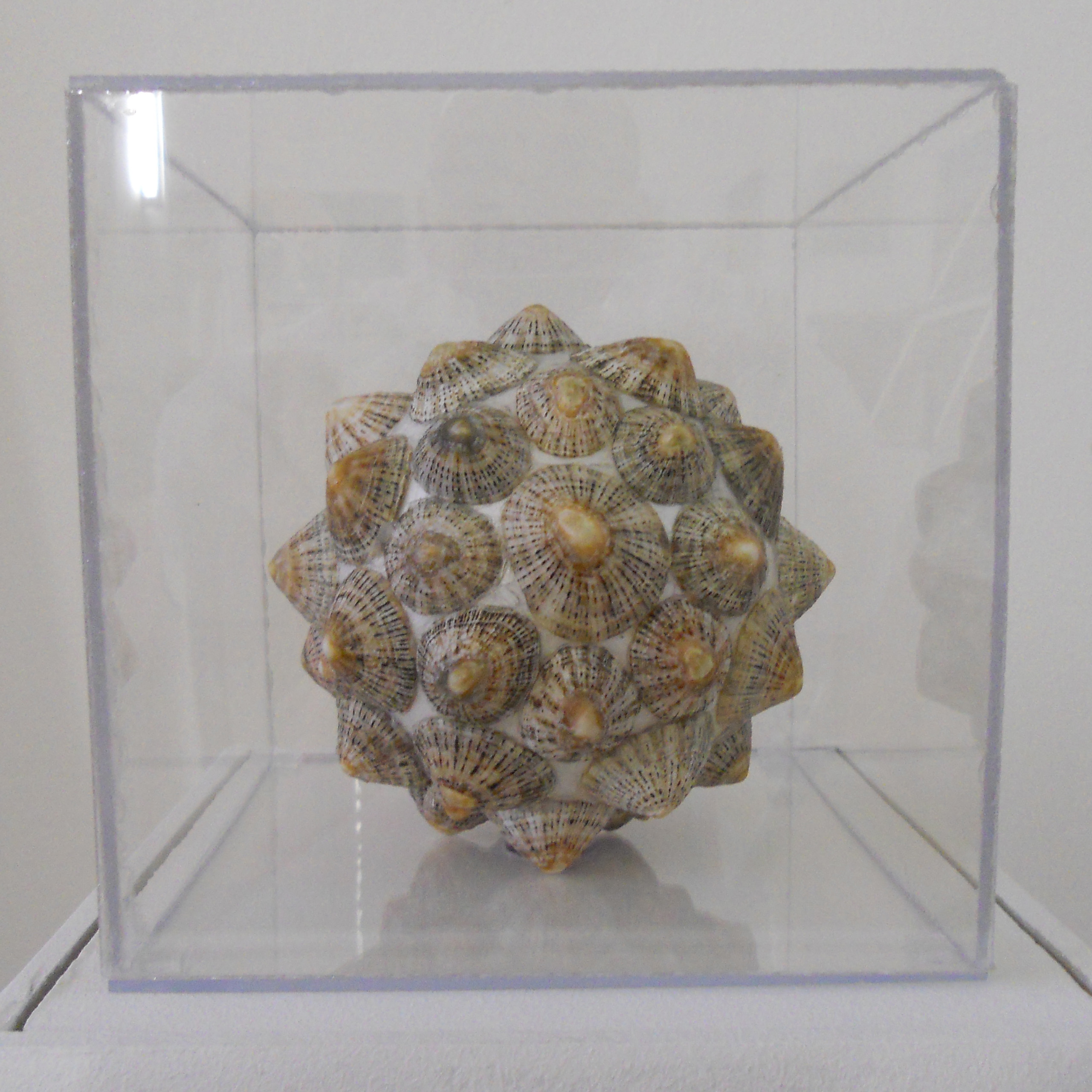 MW 23 (Hohe Aufl&ouml;sung)